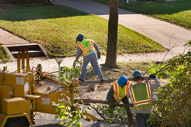 Why Choose Our Tree Removal Services in Mcconnellstown, PA?